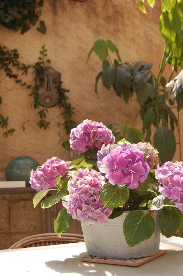 Bed and breakfast Madeleine Bergerac Extérieur photo