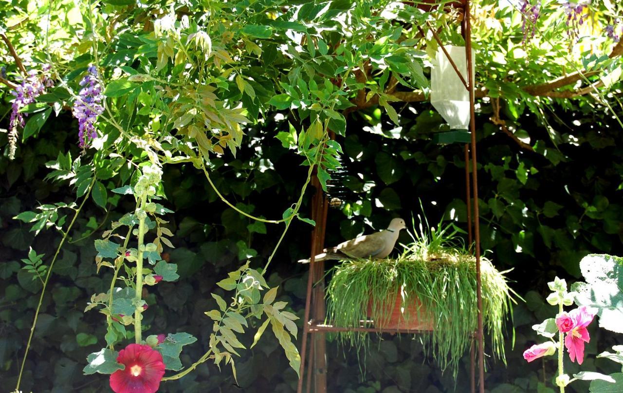 Bed and breakfast Madeleine Bergerac Extérieur photo