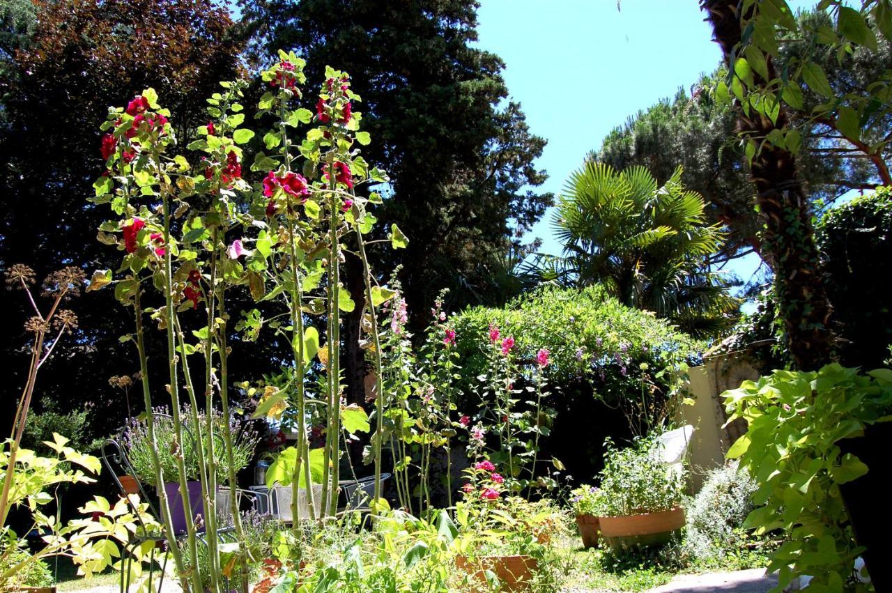 Bed and breakfast Madeleine Bergerac Extérieur photo